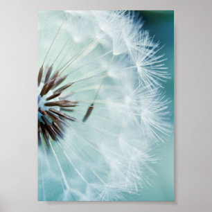 Poster Cartaz - Azul Fresco
