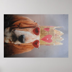 Póster Cartaz Basset Hound King