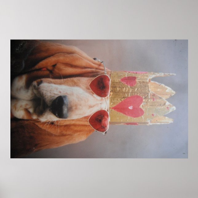 Póster Cartaz Basset Hound King (Frente)