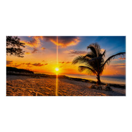 Póster Cartaz Brilhante de Palma do Pôr do Sol do Caribe