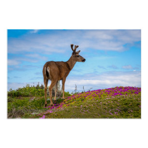 Póster Cartaz Brilhante de Veado Cena de Flor Silvestre