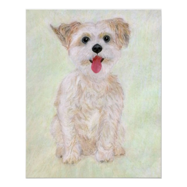 Póster Cartaz Brilhante do Cão Morkie (Frente)