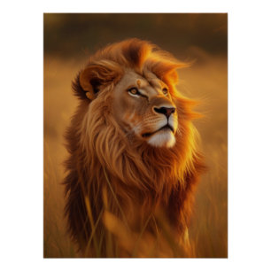 Póster Cartaz Brilhante do Leão Dourado Majestoso do Pôr 