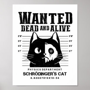 Poster Cartaz Clássico de Gato Procurado Vivo ou Morto