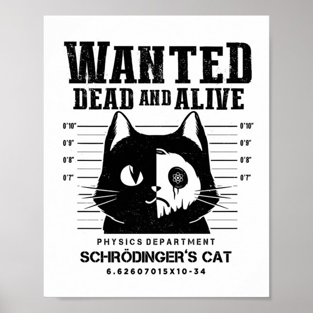 Poster Cartaz Clássico de Gato Procurado Vivo ou Morto (Frente)