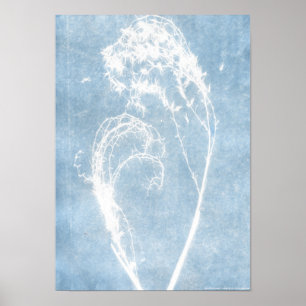Poster Cartaz Coração de Planta Cianotipia Azul
