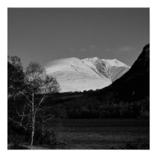 Póster Cartaz da bétula e Blencathra