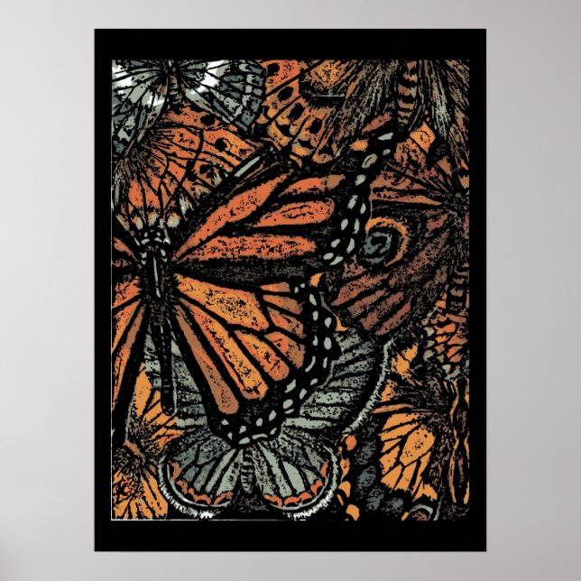 Póster Cartaz da Borboleta Monarca (Frente)