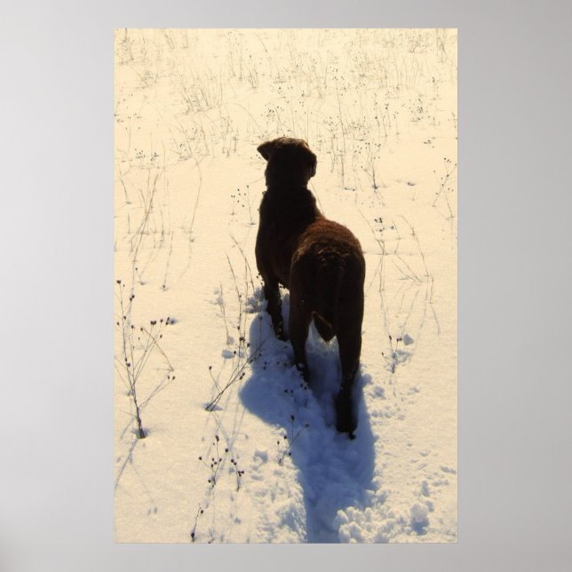 Póster Cartaz da Chessie (Frente)