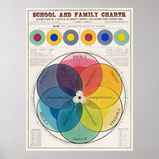 Poster Cartaz da Escala de Cores (Frente)