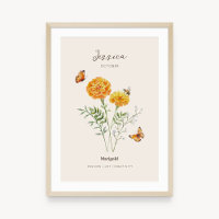 Cartaz da Flor de Nascimento Marigold