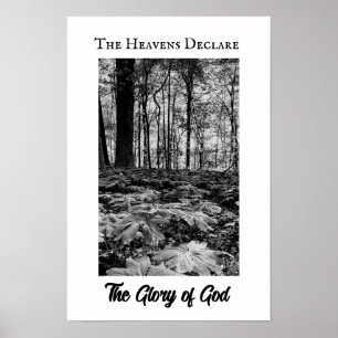 Poster Cartaz da Glória de Deus da Floresta em Preto e Br