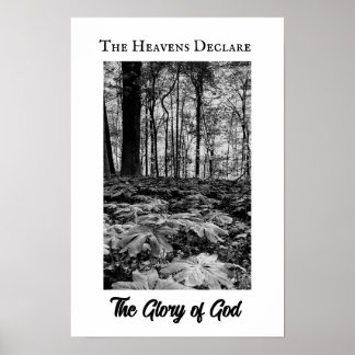 Poster Cartaz da Glória de Deus da Floresta em Preto e Br