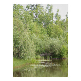 Póster Cartaz da Lagoa Greenhill
