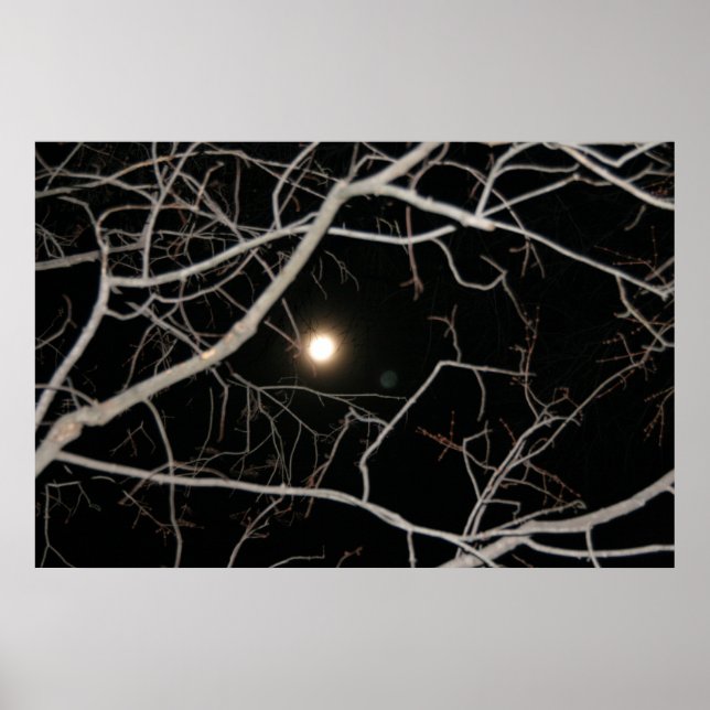 Póster Cartaz da Lua Cheia na Web (Frente)