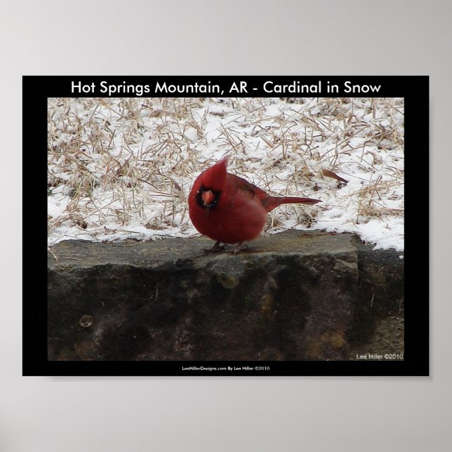 Poster Cartaz da Montanha do Parque Nacional Cardinal Hot (Frente)