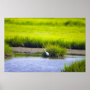 Poster Cartaz da Paisagem Aquática da Garça