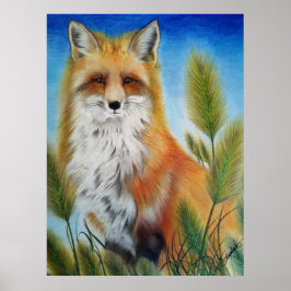 Poster Cartaz da Raposa