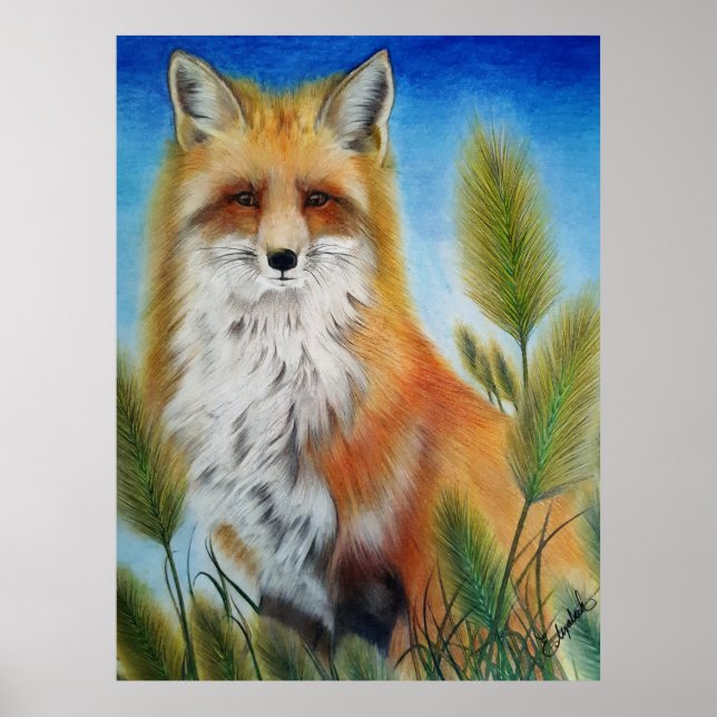 Poster Cartaz da Raposa (Frente)