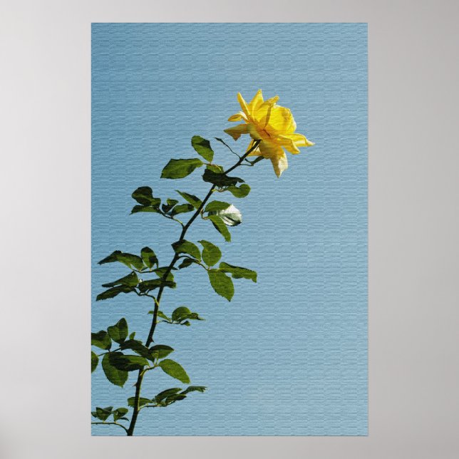 Poster Cartaz da Rosa Amarela (Frente)