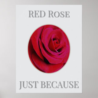 Poster Cartaz da Rosa Vermelha
