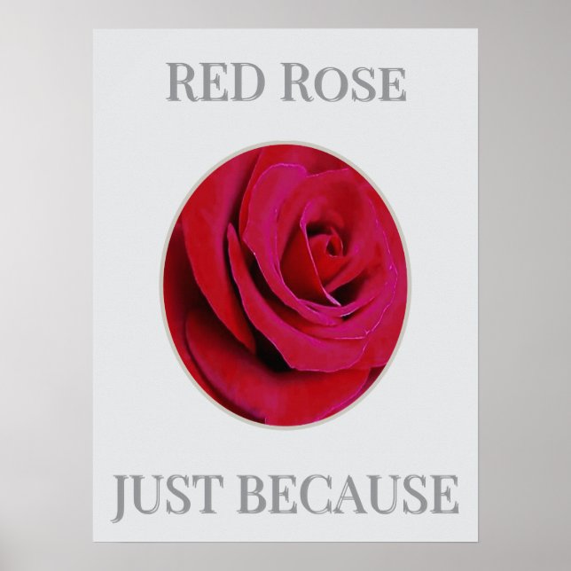 Poster Cartaz da Rosa Vermelha (Frente)