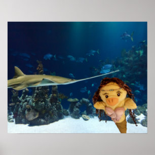 Poster Cartaz da Sereia Danni