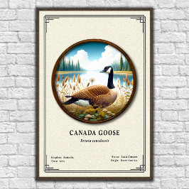 Poster Cartaz da Série de Zoologia do Ganso do Canadá