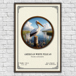 Poster Cartaz da Série de Zoologia do Pelicano Branco Ame