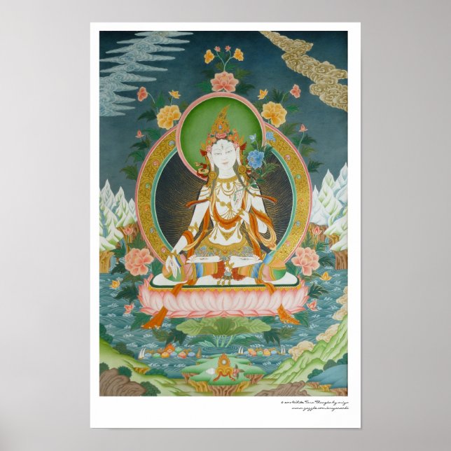 Póster Cartaz da Tara Branca (Frente)