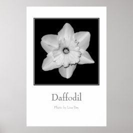 Póster Cartaz 'Daffodil'