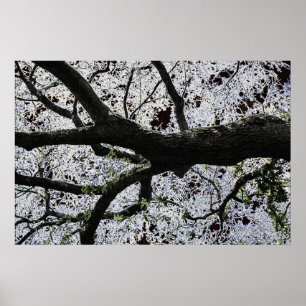 Poster Cartaz Dark Art Tree Branches por J.W. Fatherree.