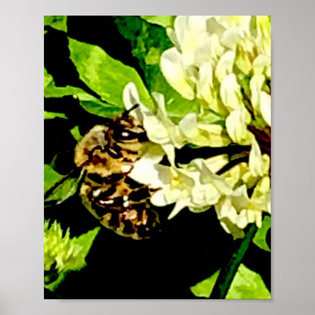 Poster Cartaz de Abelha Bumble (Frente)