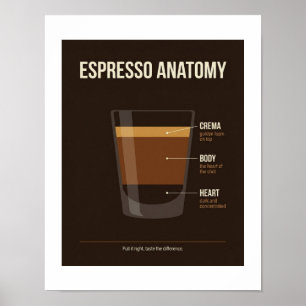Poster Cartaz de Anatomia de Espresso Arte para Parede