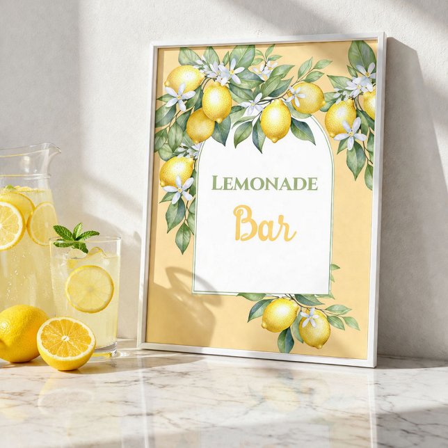 Poster Cartaz de Aniversário da Barra de Limonada (Criador carregado)