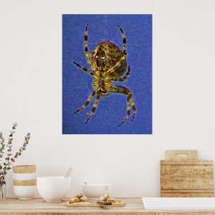 Póster Cartaz de Aranha Orb