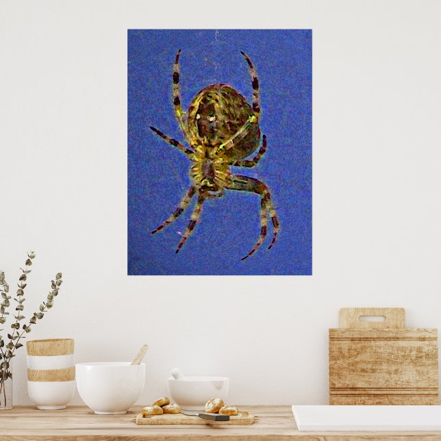 Póster Cartaz de Aranha Orb (Cozinha)