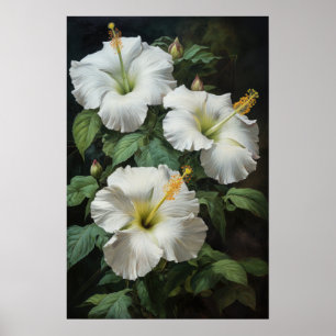 Poster Cartaz de Arte com Flor de Hibisco Branco