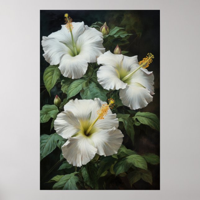 Poster Cartaz de Arte com Flor de Hibisco Branco (Frente)