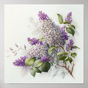 Poster Cartaz de Arte com Flores de Lilás