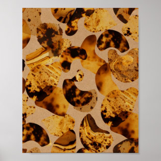 Poster Cartaz de Arte com Padrão de Tartaruga Âmbar