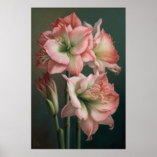 Poster Cartaz de Arte de Flor de Amarílis Rosa