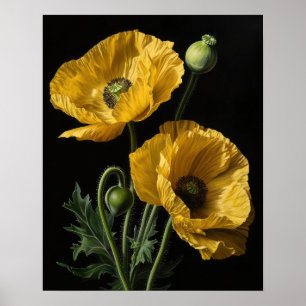 Poster Cartaz de Arte de Flores Amarelas de Papoula da Ca
