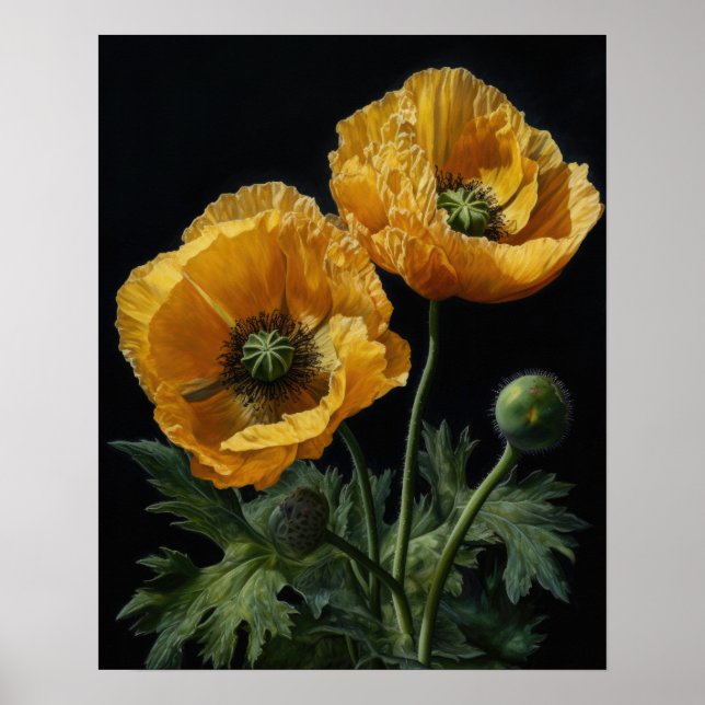 Poster Cartaz de Arte de Flores Amarelas de Papoula da Ca (Frente)