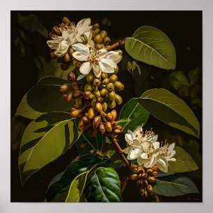 Poster Cartaz de Arte de Flores de Café Branco