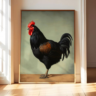 Poster Cartaz de Arte de Frango Australorp, Pássaro Vinta