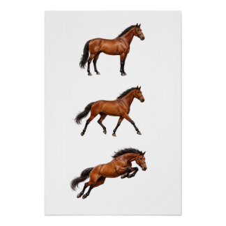 Póster Cartaz de Arte de Parede de Cavalo Marrom Elegante