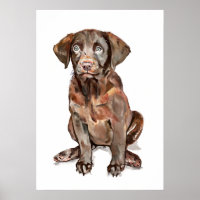 Cartaz de Arte de Parede do Labrador Retriever, Pr