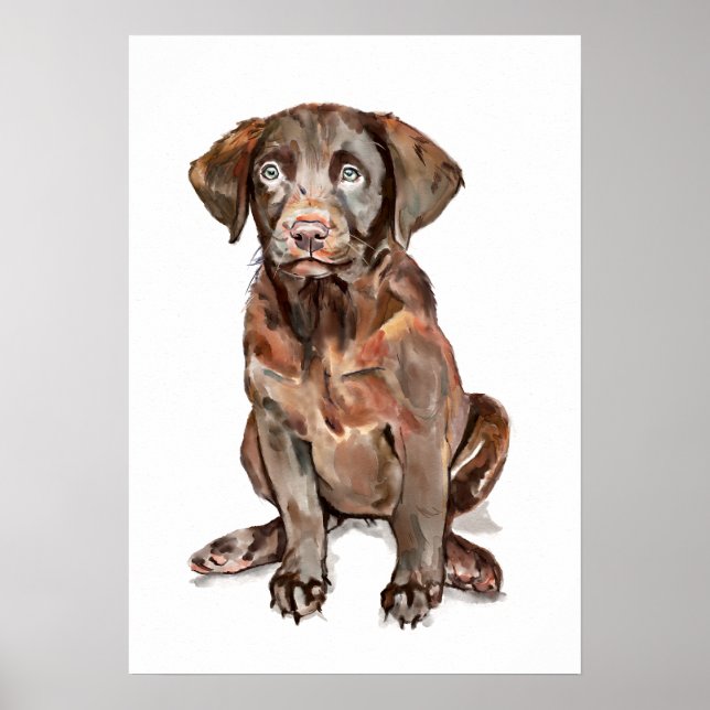 Poster Cartaz de Arte de Parede do Labrador Retriever, Pr (Frente)