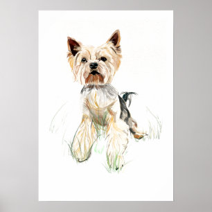 Poster Cartaz de Arte de Parede Yorkshire Terrier – Aquar